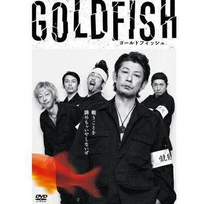 アナーキーDVD　亜無亜危異 Amazon.co.jp: 亜無亜危異都市: ミュージック
